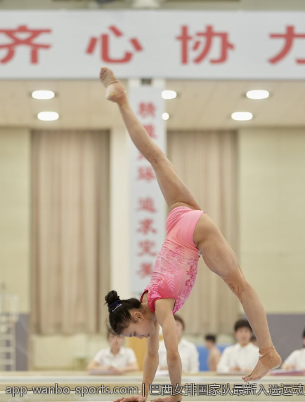 巴西女排国家队最新入选运动员名单分析