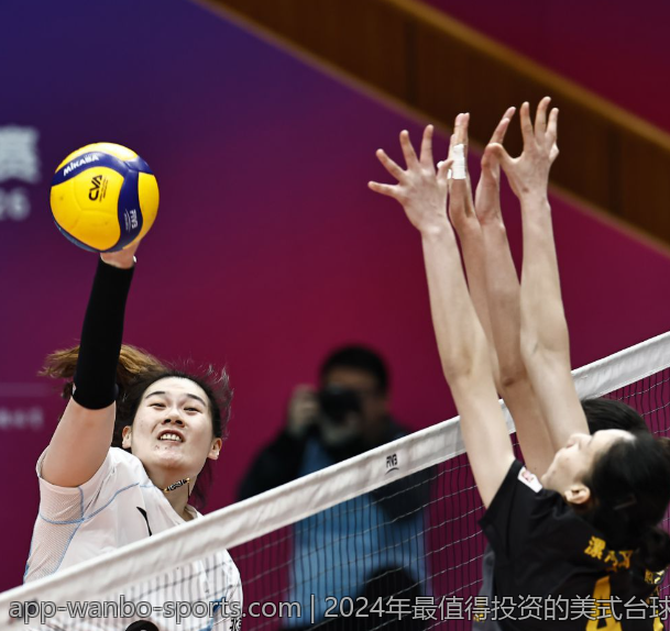 2024年最值得投资的美式台球球杆品牌排行榜