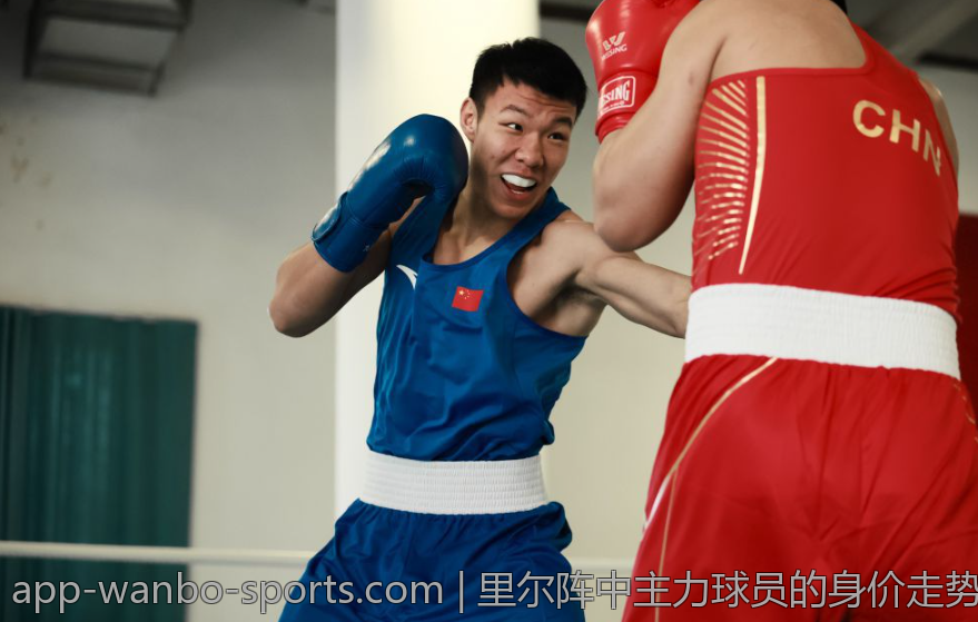 里尔阵中主力球员的身价走势分析
